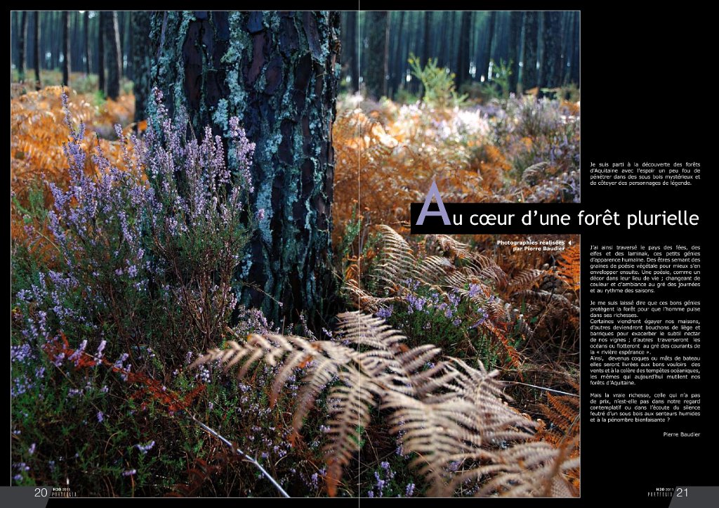 b porfolio def-1.JPG